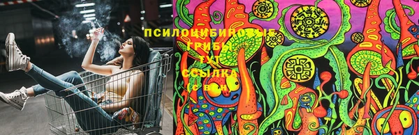 MDMA Premium VHQ Карталы