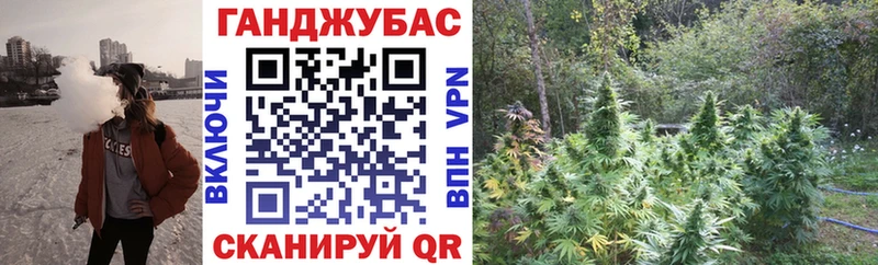 Конопля индика  Купить закладки  Бабушкин 
